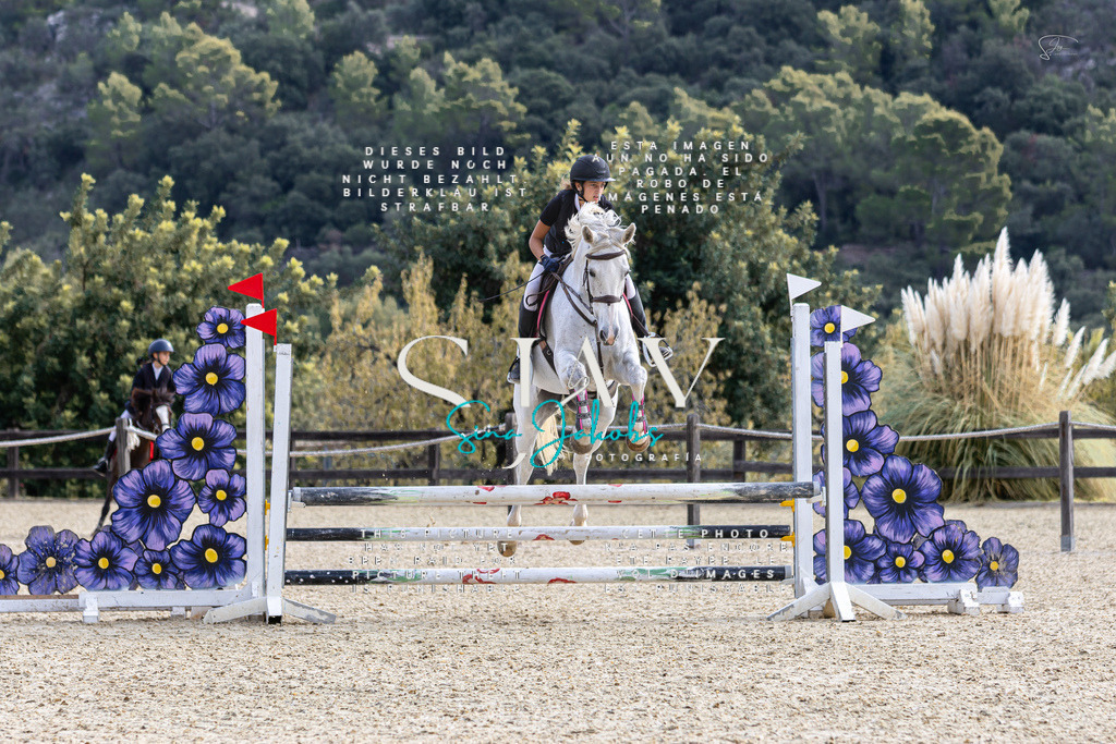 IMG_5460 | s-jay-photography - Realisiert mit Pictrs.com