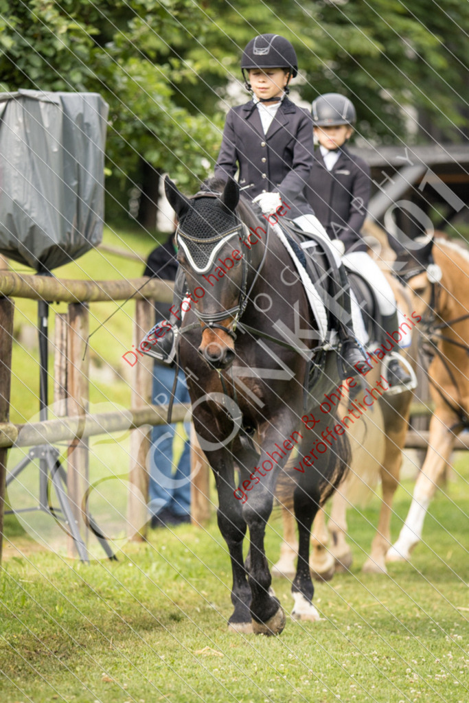 IMG_1575 | Sport-, Event- und Tierfotos in Profiqualität. Einfach auswählen, bestellen und herunterladen. Dein Moment – perfekt festgehalten.