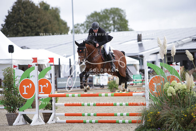 1J2A1222Michael Grimm_ Diabold U.P._ Kn1053_ Havekost | Foto- und Videografie für alles rund ums Pferd. Hochwertige Bilder und Videos vom Spring- und Dressurreiten, Voltigieren & mehr. Jetzt aktuelle Veranstaltungen und Preise im Shop ansehen. - Realisiert mit Pictrs.com