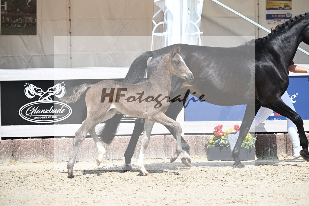Seattle x Finest_HF_Geiger_12250738 | hf-fotografie - Realisiert mit Pictrs.com