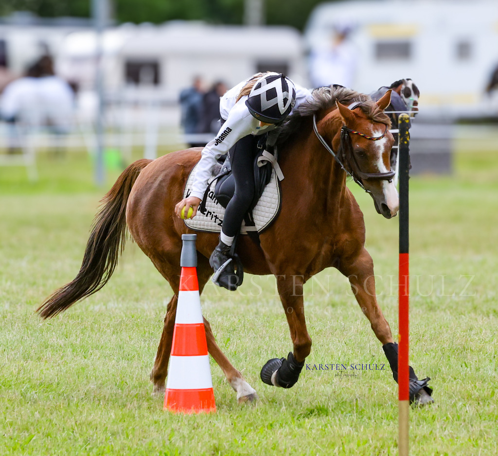 1B3A1623 | Reitsport Reiten
