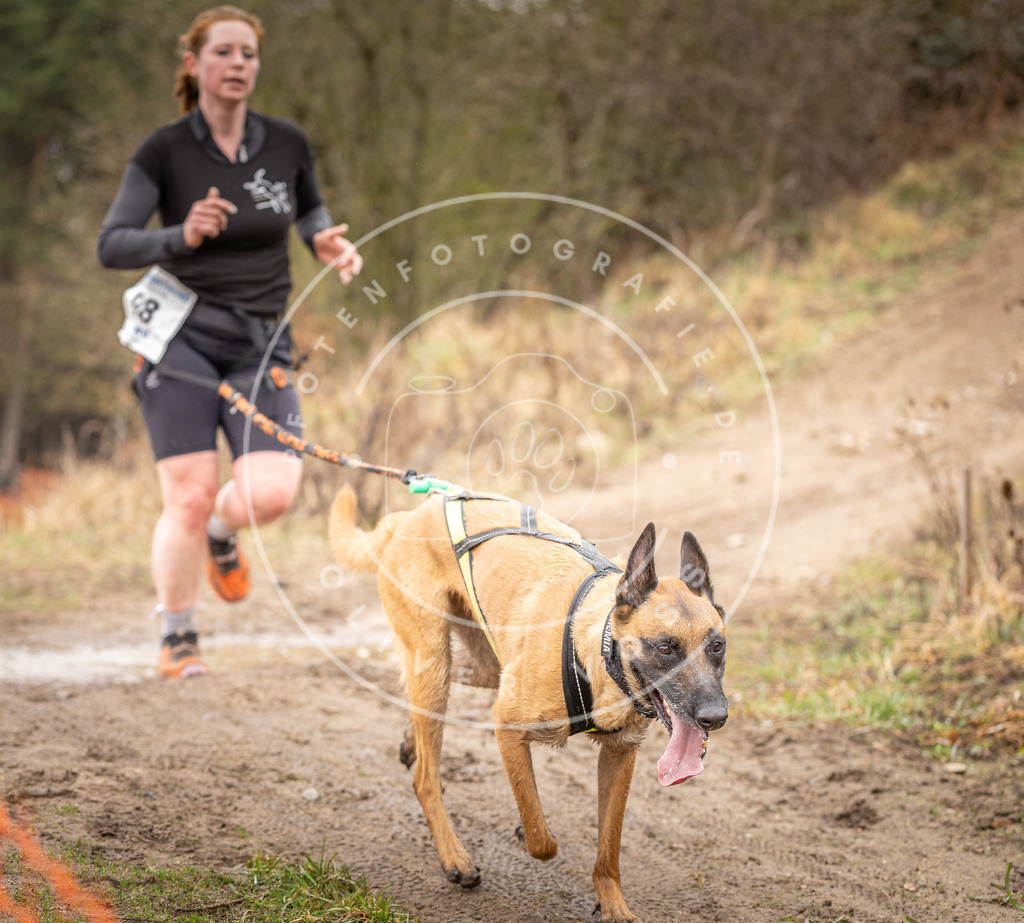 DV3A0537 | Hundefotografie, Tierfotograf, Pfotenfotografie, Fotoshooting Hund, Hunde Portrait, Hundesport, Hundeportraits, Heideshooting, Hunde, Sportfotograf, Hundefotograf, Turnierhundsport, THS,  - Realisiert mit Pictrs.com