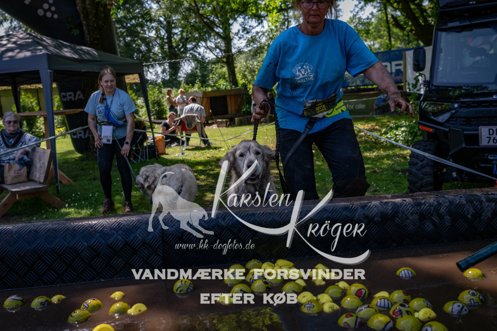 1340_ZZ91726 | kk-dogfotos