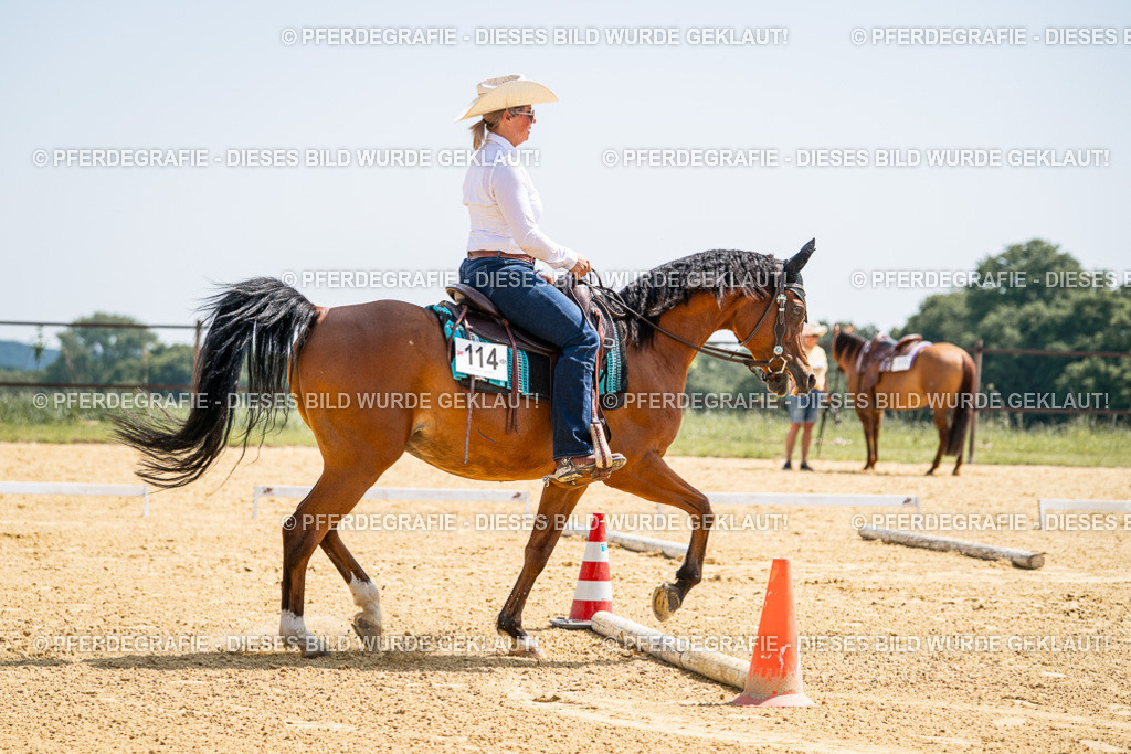 DSC00461 | Pferdegrafie