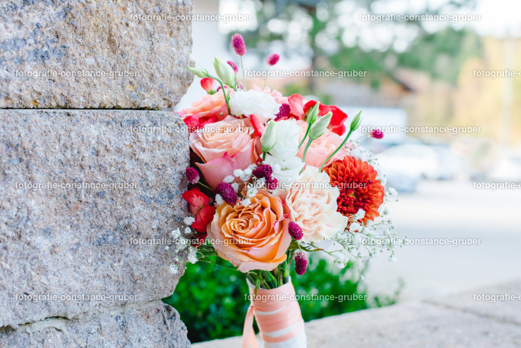 1013 | Fotografie Constance Gruber - Realisiert mit Pictrs.com