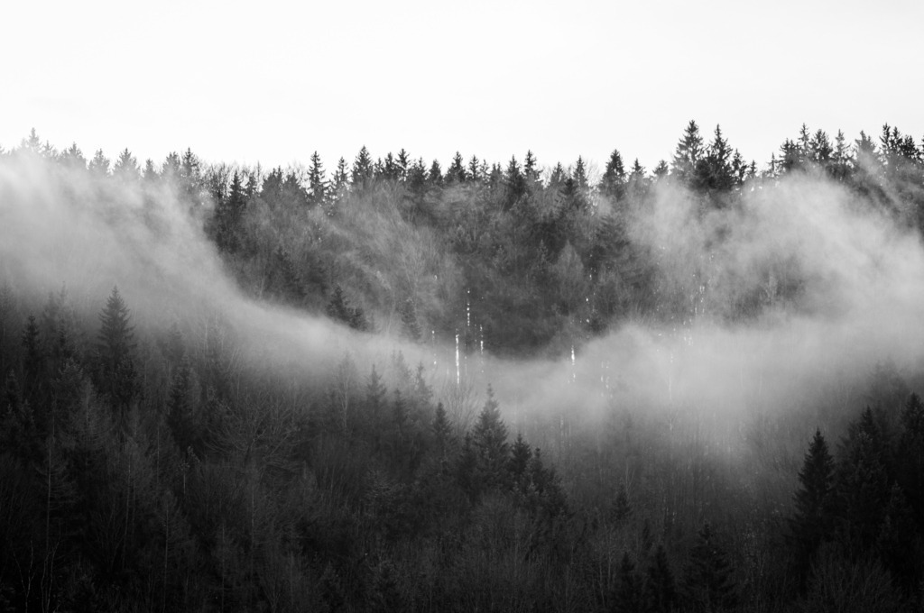 DSC_3986 | kaefersammler_roy - Realisiert mit Pictrs.com