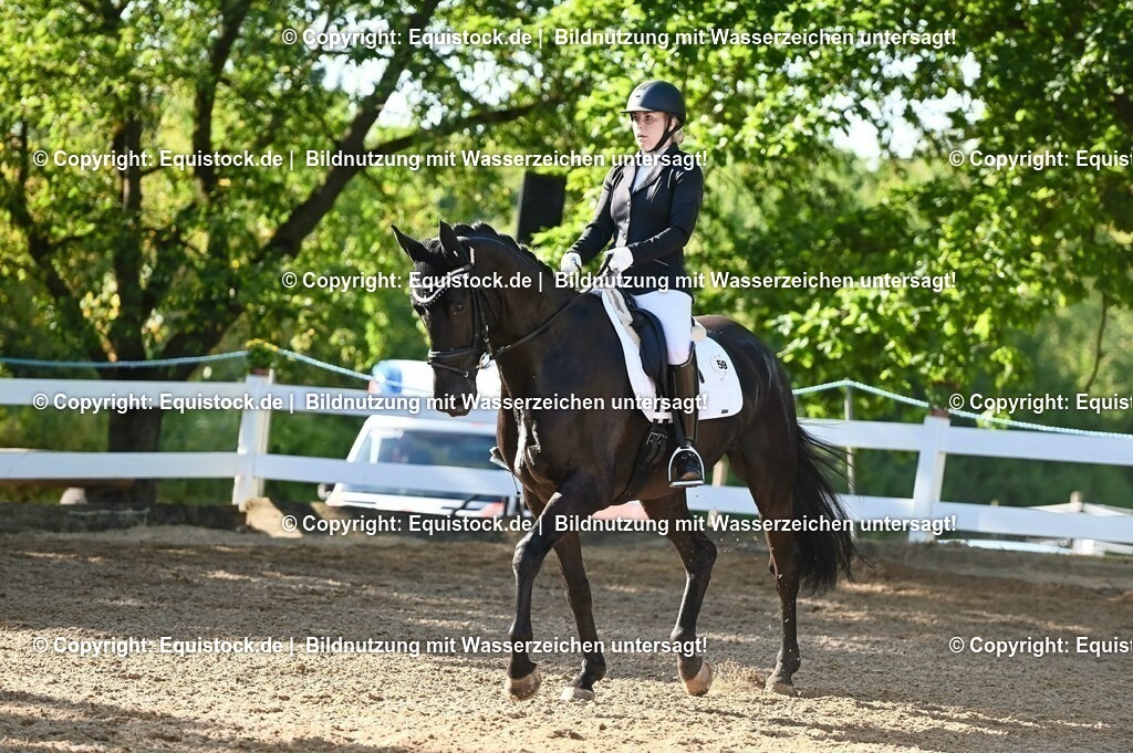 20230715_06_Dressurpferdeprfg. Kl.A_0075 | equistock