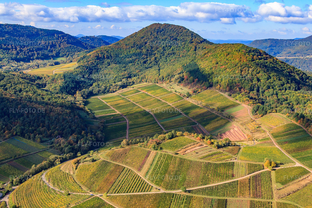 Luftbild: Weinlage Kastanienbusch unter dem Hohenberg in Birkweiler im Bundesland Rheinland-Pfalz in Deutschland. Foto: IMG_22323.jpg vom 15.10.2009 durch Werner Riehm/FLY-FOTO.de