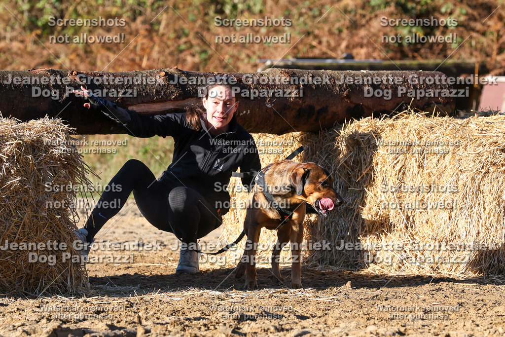 Dog Paparazzi - Strongdog 10-25-1449 | Dog Paparazzi Jeanette Grottendiek Fotografie & Videografie - Realisiert mit Pictrs.com