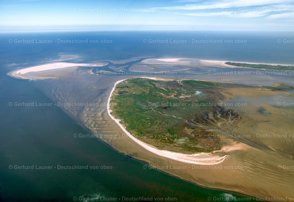 3091145 | Vogelschutzgebiet Memmert, Nationalpark Niedersächsisches Wattenmeer