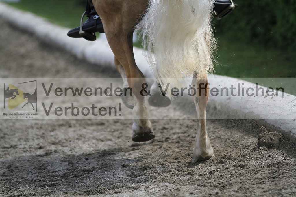 _MG_0175 | equestrian-live-com