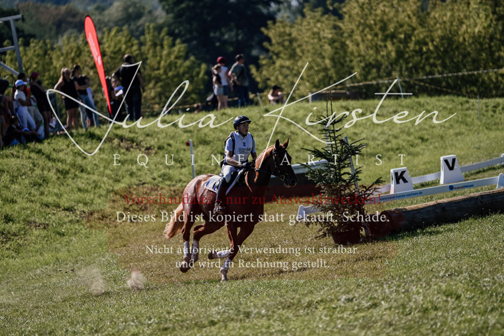 DSC_1340 | Pferde- und Turnierfotografie in Westsachsen. Pferdeportraits, Auftragszeichnungen und intuitive Kunst.