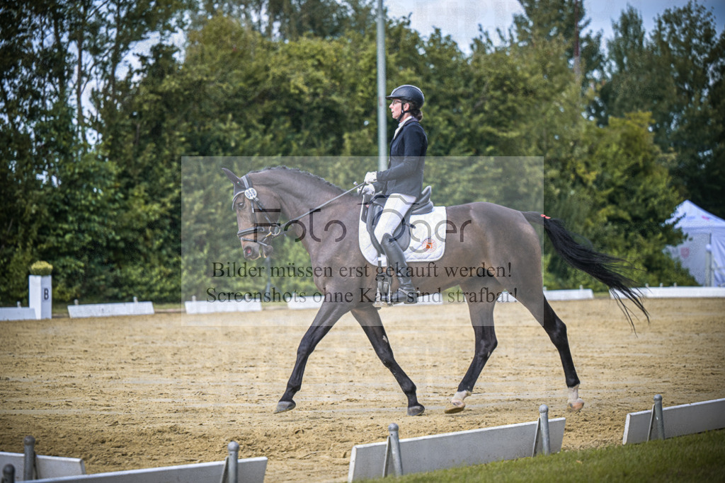DOS_5641 | Entdecke hochwertige Reitturnierfotos von Foto Oger. Professionell, emotional und authentisch – jetzt Lieblingsmomente im Shop bestellen.Deutschlandweite Turnierfotografie. - Realisiert mit Pictrs.com