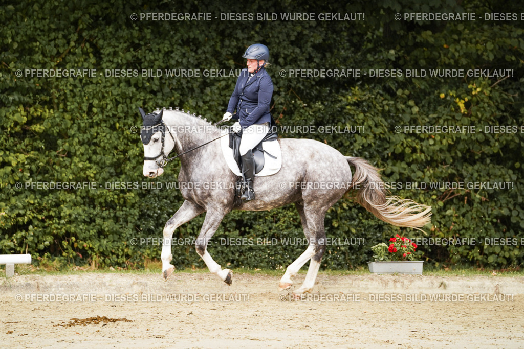 DSC01713 | Pferdegrafie