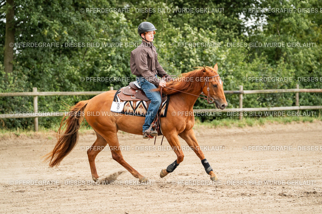 DSC04815 | Pferdegrafie