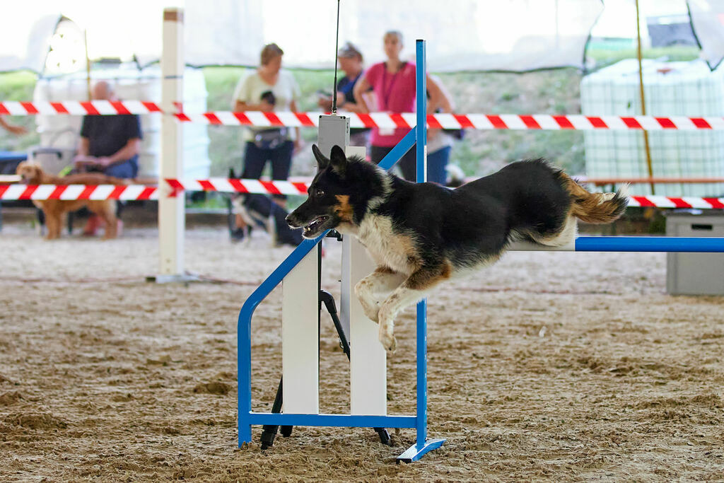 580A0049 | Peter Fridle Fotografie - Realisiert mit Pictrs.com