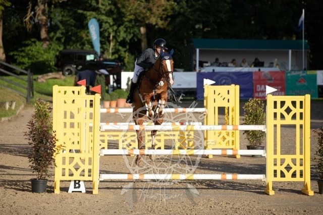 2B4A0904 | pixelfaenger - Realisiert mit Pictrs.com