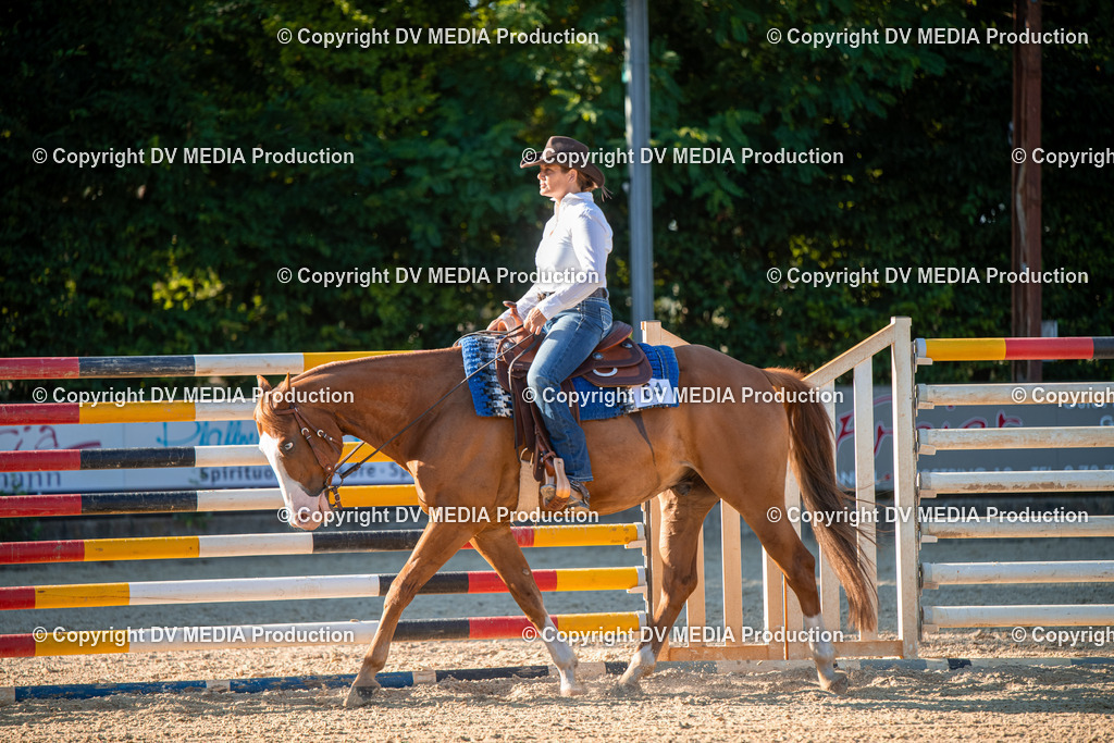 EWP_7169 | dv-media-shop - Realisiert mit Pictrs.com