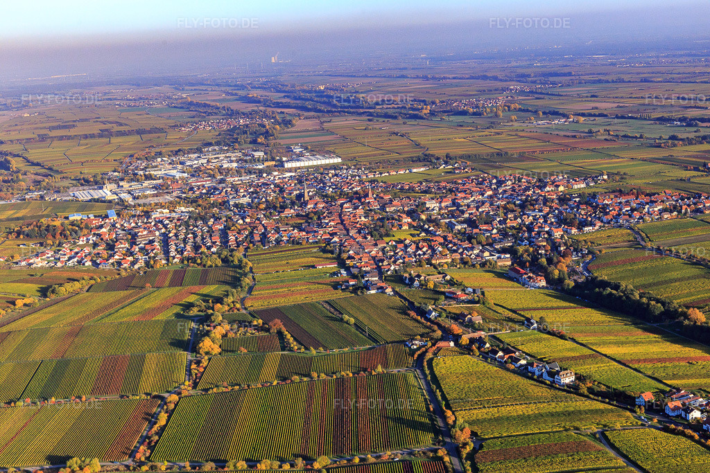 Luftbild: Stadtansicht am Abend im Herbst aus Westen in Edenkoben im Bundesland Rheinland-Pfalz in Deutschland. Foto: IMG_095652.jpg vom 30.10.2016 durch Werner Riehm/FLY-FOTO.de