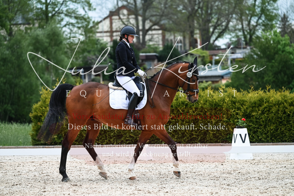 20230513_JK-Röhrsdorf-11-045 | Pferde- und Turnierfotografie in Westsachsen. Pferdeportraits, Auftragszeichnungen und intuitive Kunst.