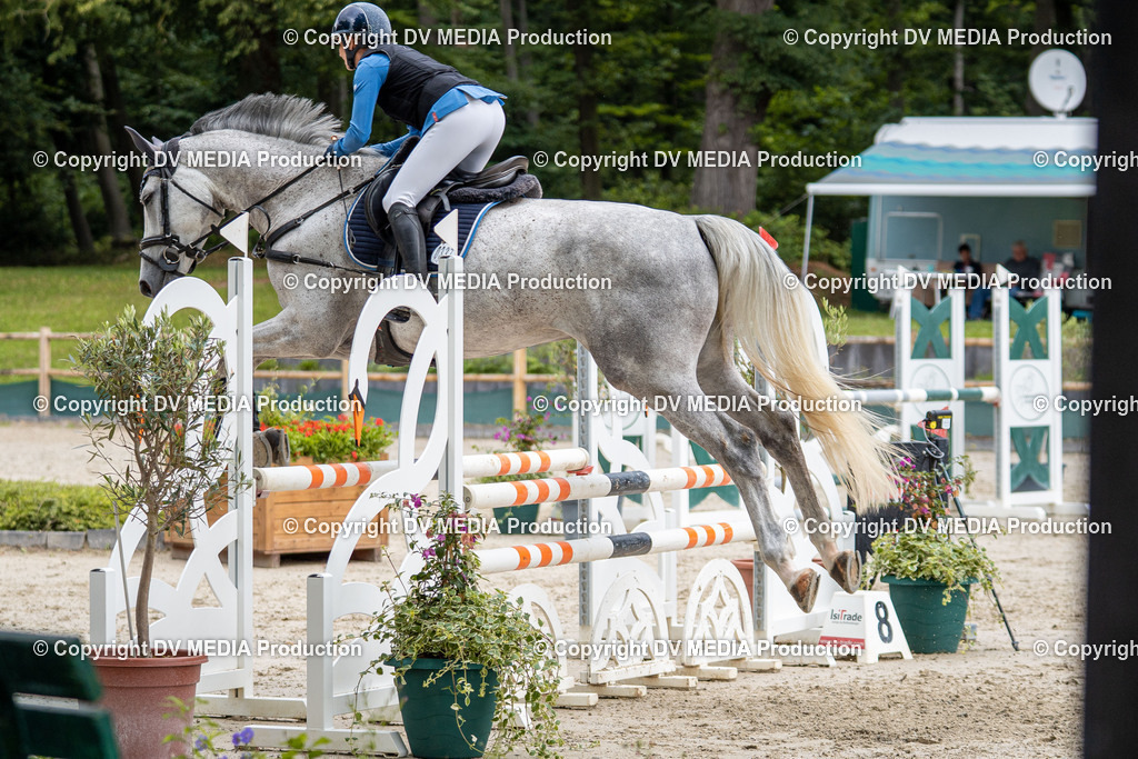 Hessische Tag 1-167 | dv-media-shop - Realisiert mit Pictrs.com