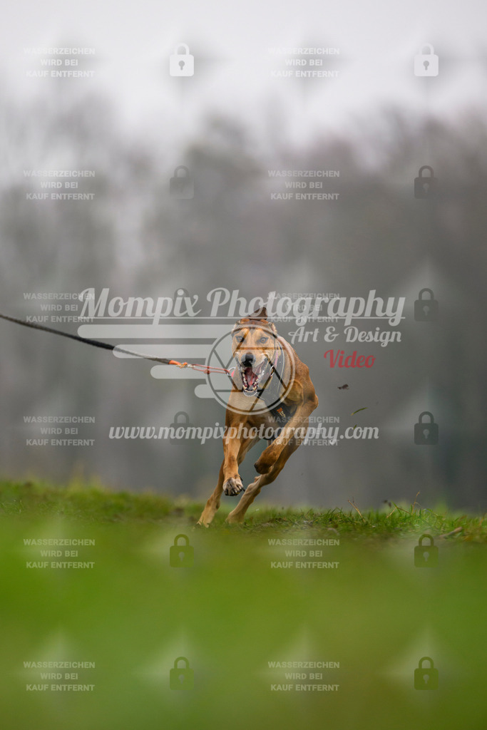 MompixPhotography_CDF2023_FFST_Di_Bike1-39 | PayLife