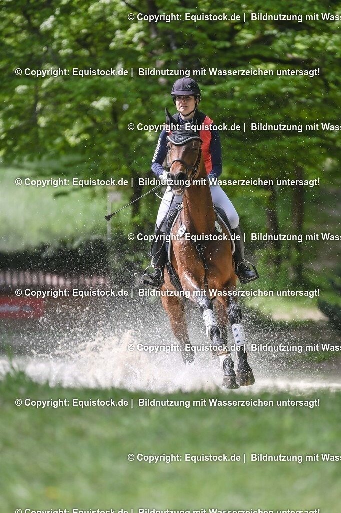 20250517_CCI2_Gelände_1088 | Foto: Thomas Hartig