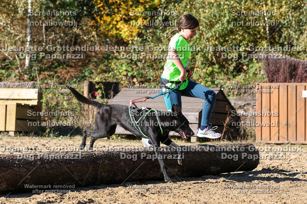 Dog Paparazzi - Strongdog 10-25-2387 | Dog Paparazzi Jeanette Grottendiek Fotografie & Videografie - Realisiert mit Pictrs.com