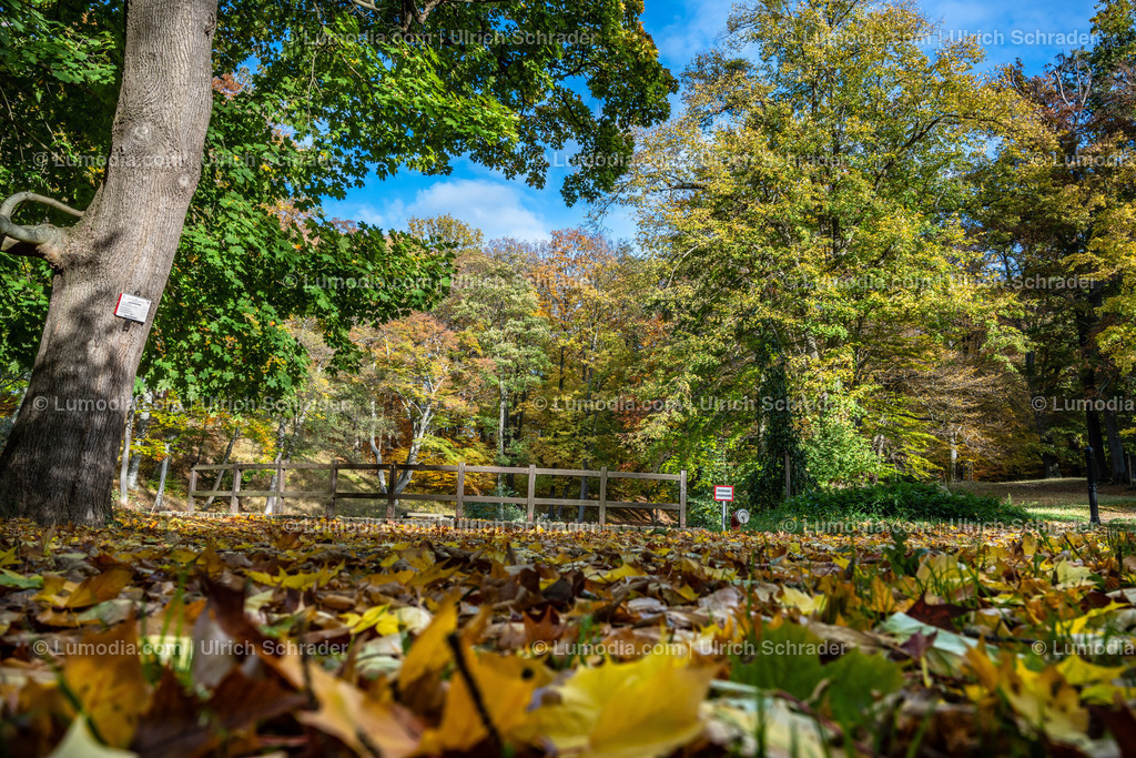 10049-12623 - Schloßpark Ilsenburg im Harz | Stockfoto und Bilderpool mit Bildmaterial aus Deutschland, dem Harz, Halberstadt, Quedlinburg, Wernigerode und weltweit. Qualitativ hochwertige und professionelle Fotos anschauen und kaufen. - Realisiert mit Pictrs.com