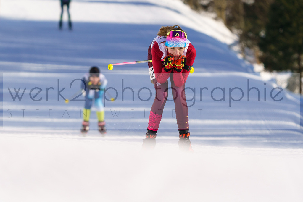 DSC Arber | Bayerischer Wald am 9. bis 12. Februar 2023
