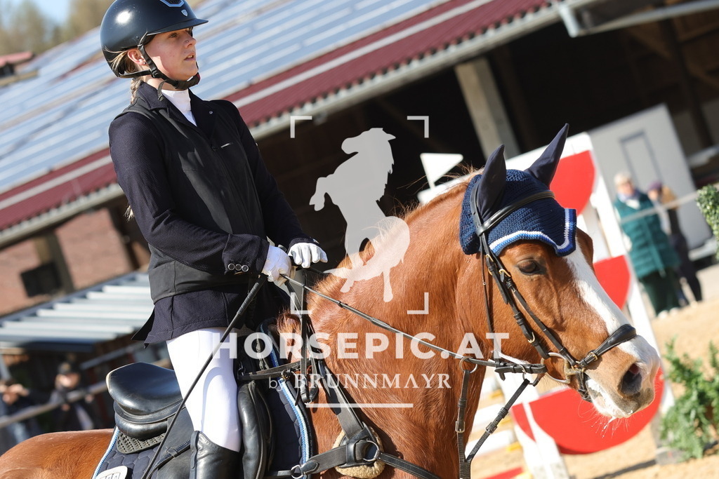 0P6A6591 | Willkommen bei Brunnmayr - Design & Fotografie – Ihrem Spezialisten für Reitturniere und Pferdeveranstaltungen in Oberösterreich, Salzburg und Bayern! Seit über 17 Jahren sind wir leidenschaftlich dabei.