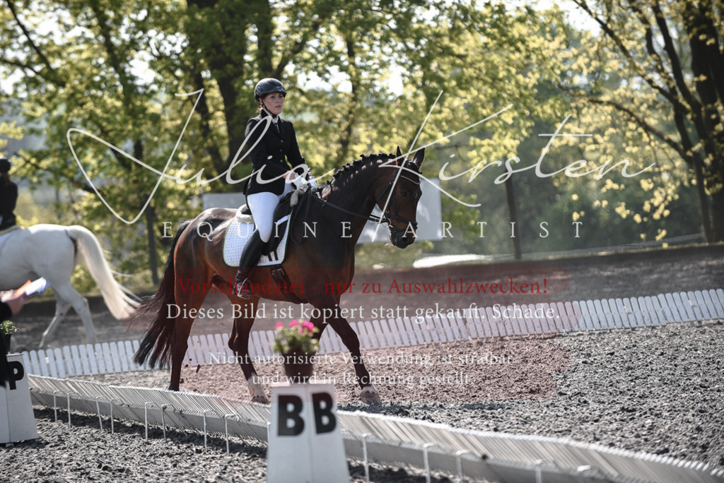 20230513_JK-Röhrsdorf-14-312 | Pferde- und Turnierfotografie in Westsachsen. Pferdeportraits, Auftragszeichnungen und intuitive Kunst.