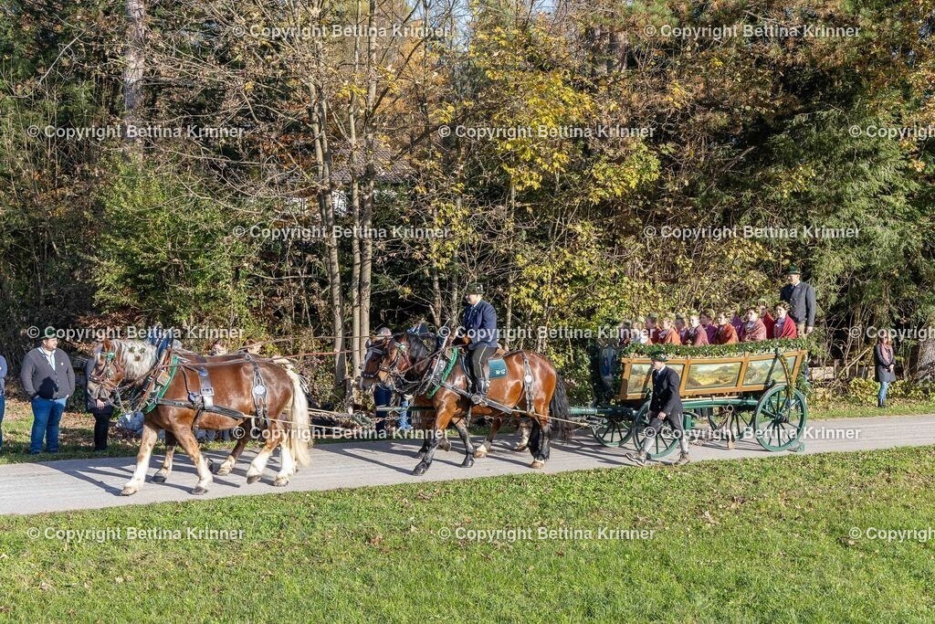 LBT24-121 | foto-bettina-krinner - Realisiert mit Pictrs.com