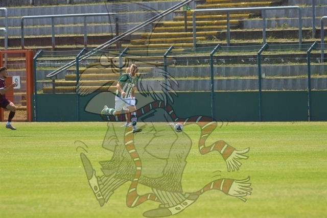 BFC Dynamo vs. VfB Lübeck 1919 031 | mythos-online-redaktion