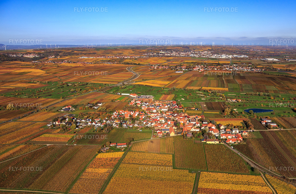 Luftbild: Ortsansicht von Süden am Golfgarten Deutsche Weinstraße zwischen herbstlich gefärbten Weinbergen in Dackenheim im Bundesland Rheinland-Pfalz in Deutschland. Foto: IMG_123517.jpg vom 31.10.2020 durch Werner Riehm/FLY-FOTO.de