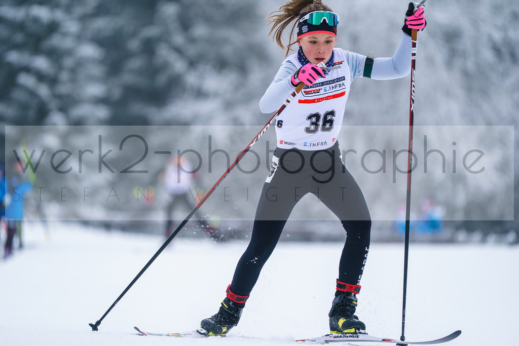DSC Altenberg | 2. DSV E.INFRA Schülercup Biathlon in der SPARKASSEN-Arena Altenberg am 23. - 25. Januar 2026