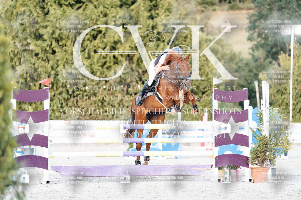 CK901396 | Turnierfotografie Pferdefotografie Trier Rheinland-Pfalz Pferdesport Reitsport Tierfotografie Sportfotografie Pferdevideo Pferdevideografie Equestrianvideography equestrianphotography  - Realisiert mit Pictrs.com