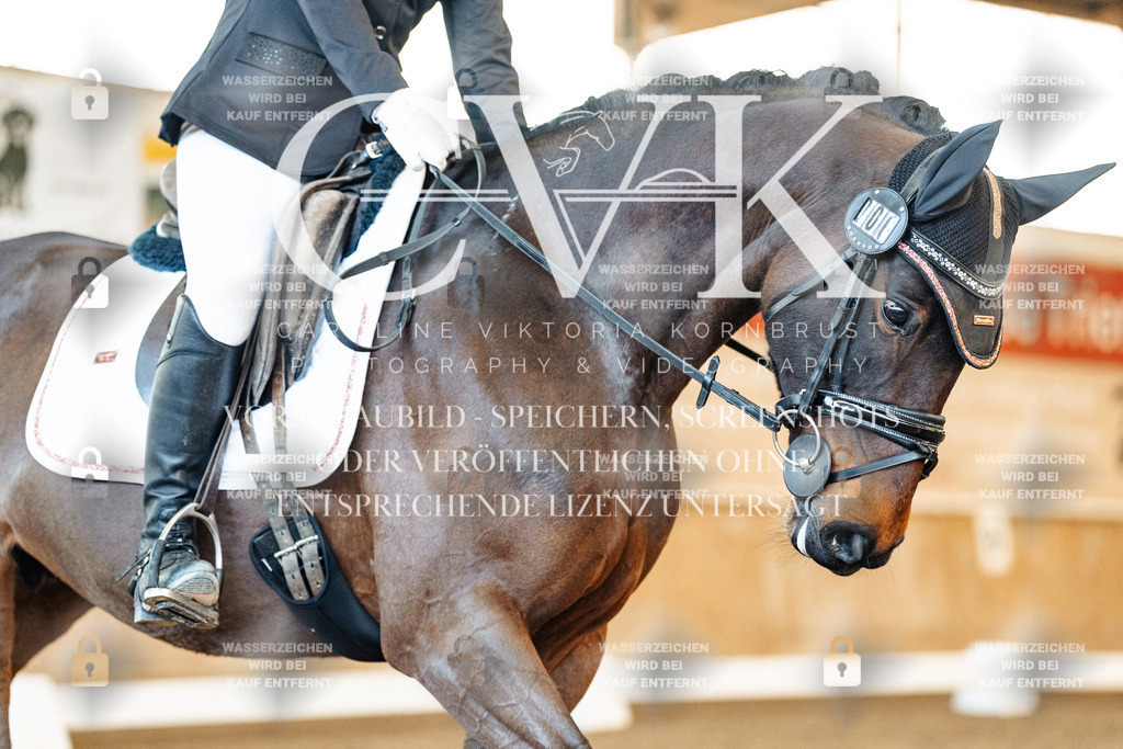 CK907933 | Turnierfotografie Pferdefotografie Trier Rheinland-Pfalz Pferdesport Reitsport Tierfotografie Sportfotografie Pferdevideo Pferdevideografie Equestrianvideography equestrianphotography  - Realisiert mit Pictrs.com