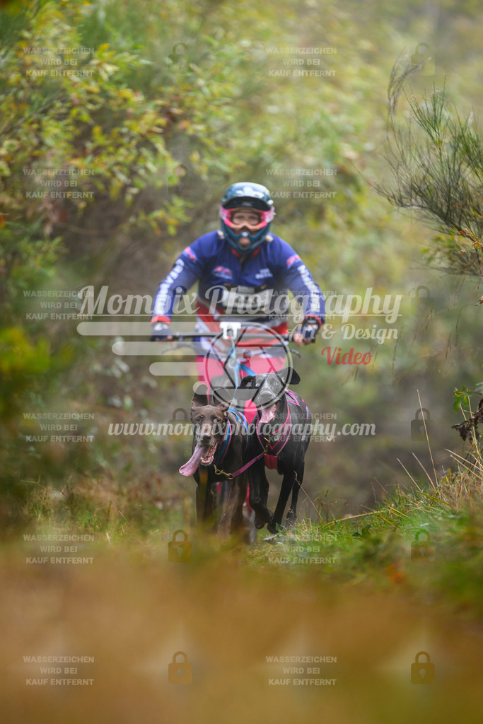 MompixPhotography_20TSB_E4_DS2-31 | PayLife
