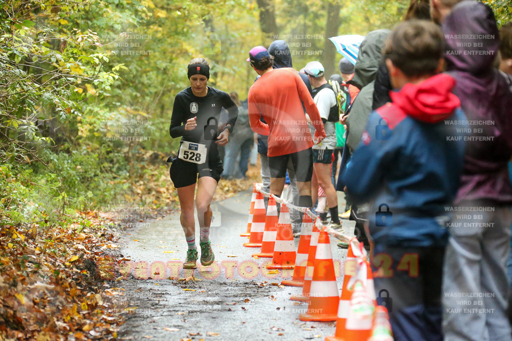 241027_1259_EX1_5168 | Sportfotografie im Rhein-Sieg Kreis, Köln, Bonn, NRW, Rheinland Pfalz, Hessen, etc. Unser Tätigkeitsfeld umfasst den Laufsport vom Volkslauf über den Marathon, Duathlon, Triathon bis zum Ultralauf wie Kölnpfad Ultra oder Schindertrail.