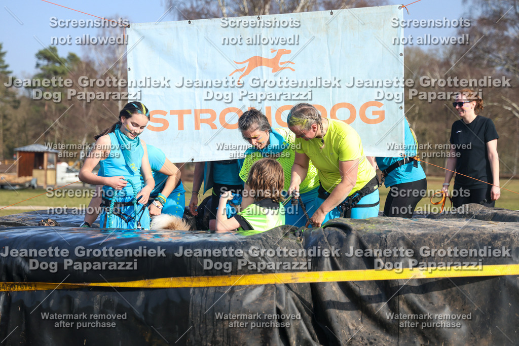 Dog Paparazzi - Strongdog North Mrz26-3269 | Dog Paparazzi Jeanette Grottendiek Fotografie & Videografie - Realisiert mit Pictrs.com