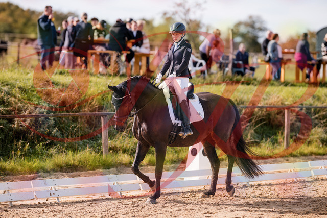 2026_10_03_Siefer-Hof_121335_Z81_13933534 | Professionelle Reitsport-, Turnier- und Eventfotografie von Robert Broda. Galerien mit ausgewählten und bearbeiteten Bildern direkt online ansehen und bestellen.
