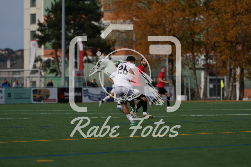 DSC09741 | rabefotos