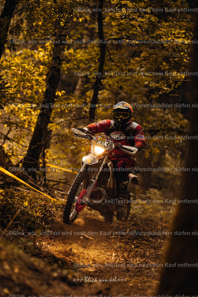 E68A3985 | blick_win_kel