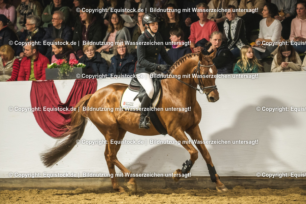 20240302_Hengstvorstellung_Marbach_TOMsPiC_1366-2 | equistock