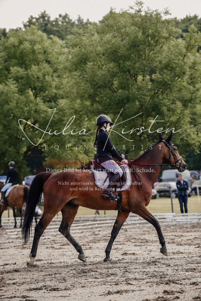 DSC_8043 | Pferde- und Turnierfotografie in Westsachsen. Pferdeportraits, Auftragszeichnungen und intuitive Kunst.