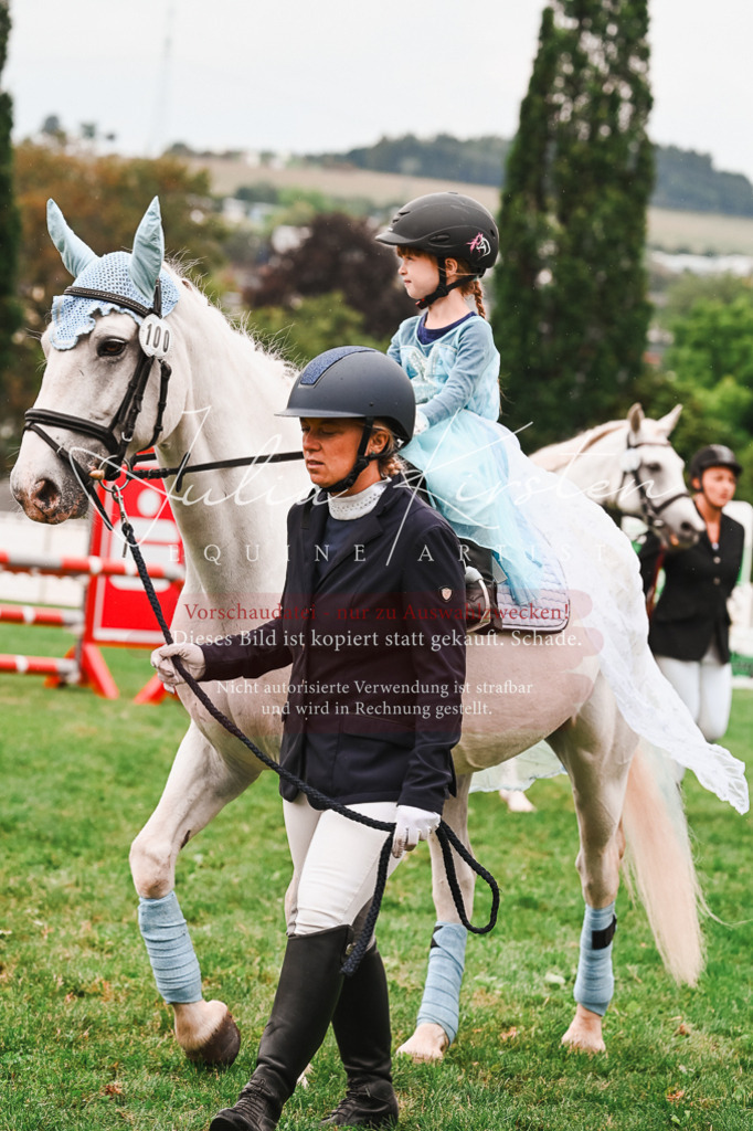 DSC_7313 | Pferde- und Turnierfotografie in Westsachsen. Pferdeportraits, Auftragszeichnungen und intuitive Kunst.