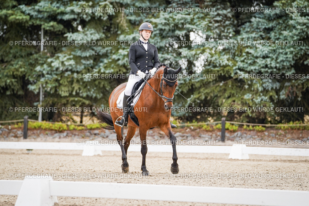 DSC01094 | Pferdegrafie