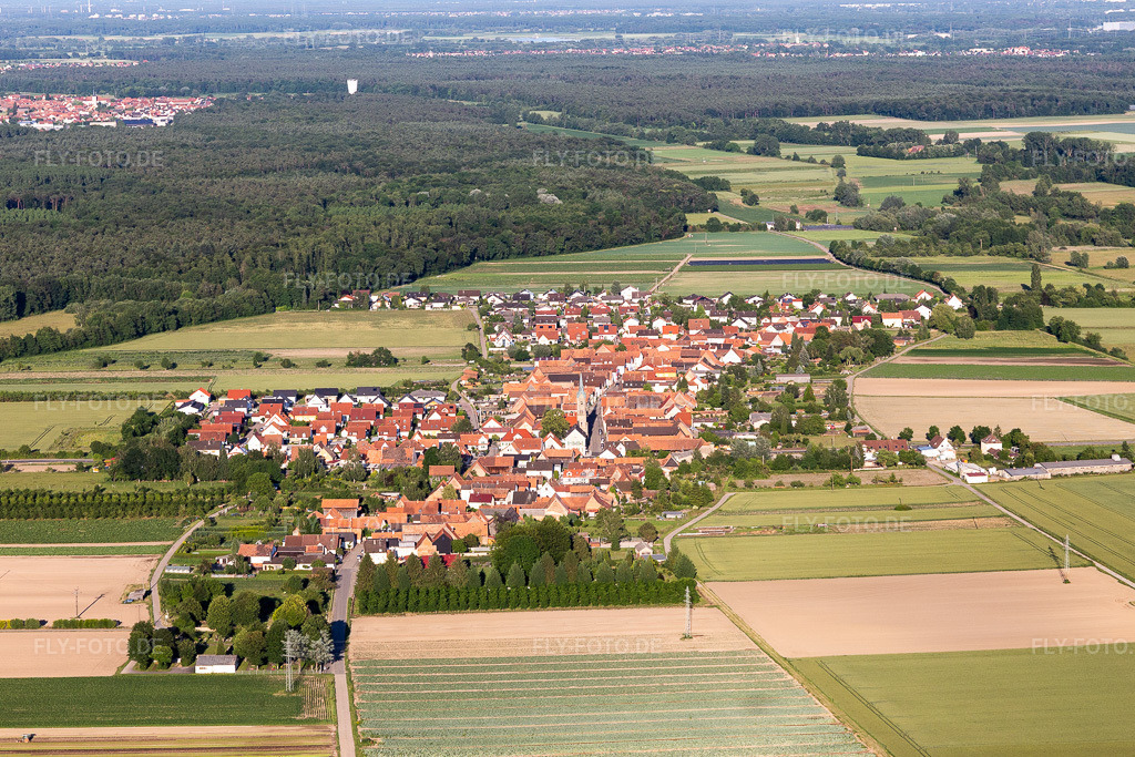 Luftbild: Ortsansicht von Westen in Erlenbach bei Kandel im Bundesland Rheinland-Pfalz in Deutschland. Foto: IMG_115083.jpg vom 13.06.2019 durch Werner Riehm/FLY-FOTO.de