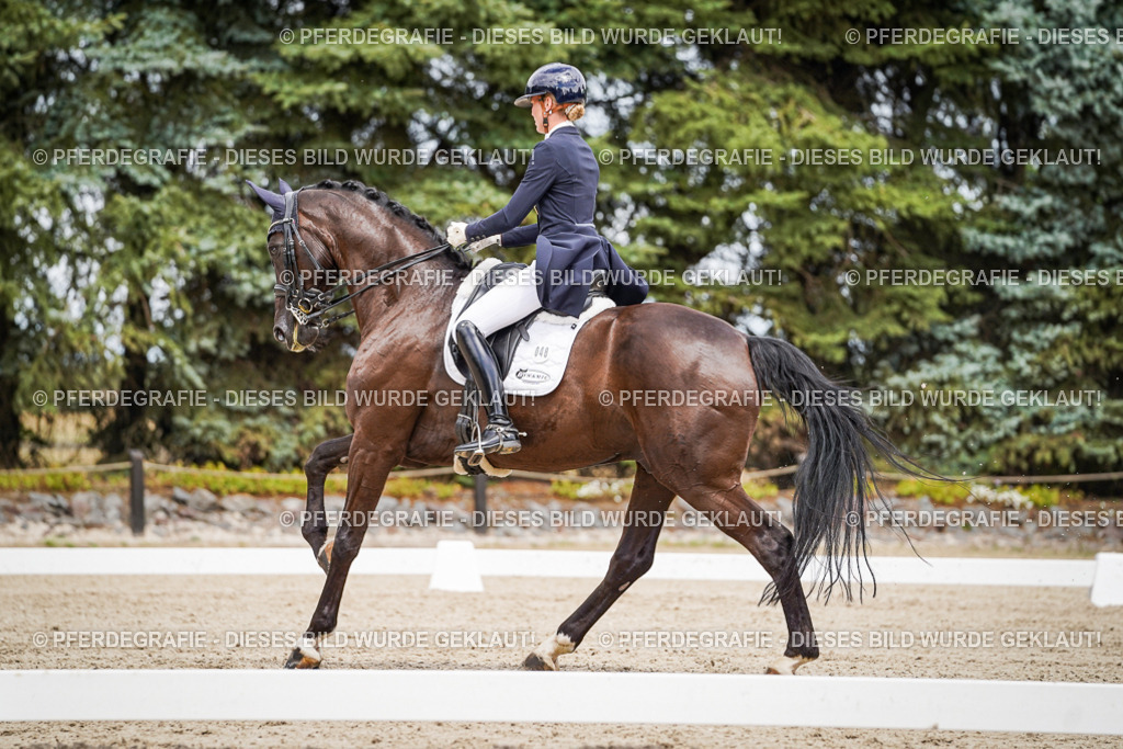 DSC06081 | Pferdegrafie